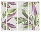 Botanical Calathea Leaves Grey Mural (Large) by Origin Murals