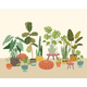 Houseplant Pots Natural Mural (Medium) by Origin Murals