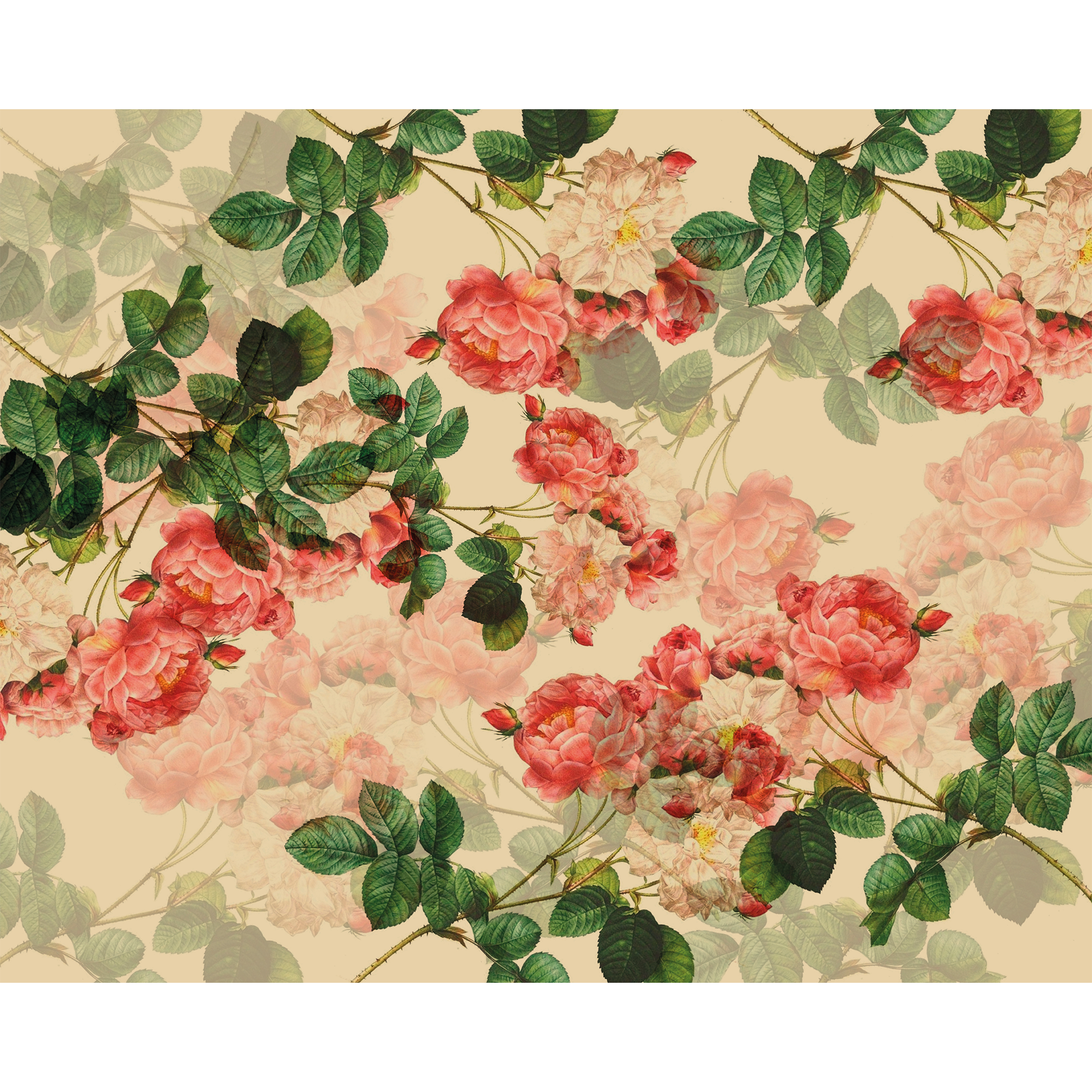 Classic Rose Design Natural Mural (Large) by Origin Murals