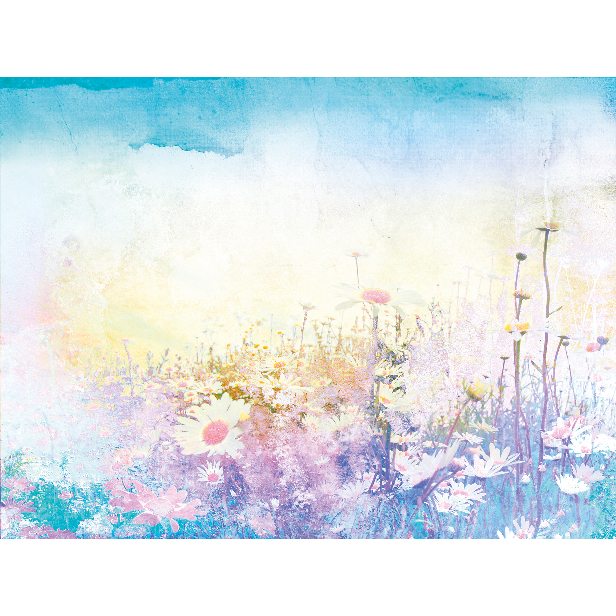 Daisy Meadow Purple Mural (Large) by Origin Murals