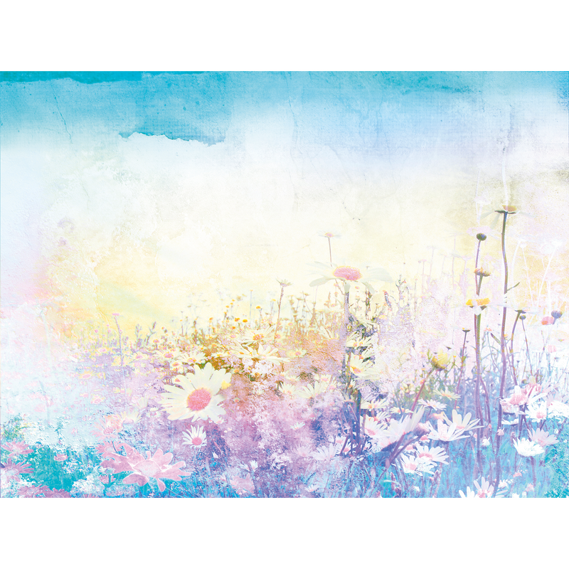 Daisy Meadow Purple Mural (Large) by Origin Murals