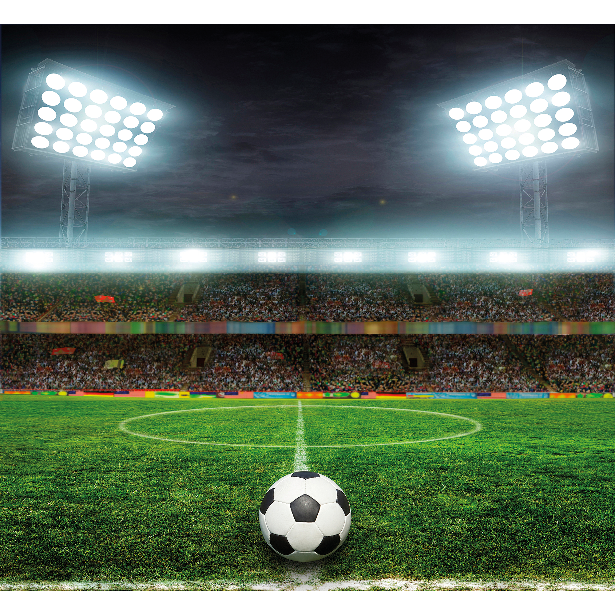 Football Stadium Green Mural (Large) by Origin Murals