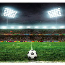 Football Stadium Green Mural (Large) by Origin Murals