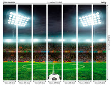 Football Stadium Green Mural (Large) by Origin Murals