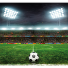 Football Stadium Green Mural (Medium) by Origin Murals