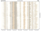 Linear Stripe Stone Grey Mural (Large) by Origin Murals