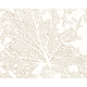 Skeleton Leaf Natural Linen Mural (Large) by Origin Murals