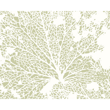Skeleton Leaf Sage Green Mural (Large) by Origin Murals