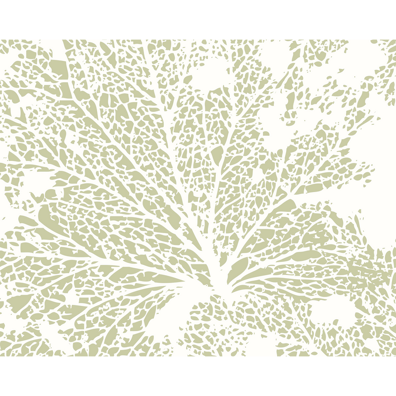 Skeleton Leaf Sage Green Mural (Large) by Origin Murals