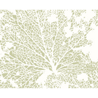 Skeleton Leaf Sage Green Mural (Medium) by Origin Murals