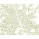 Skeleton Leaf Sage Green Mural (Medium) by Origin Murals