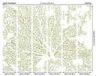 Skeleton Leaf Sage Green Mural (Medium) by Origin Murals