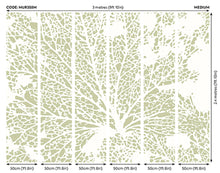 Skeleton Leaf Sage Green Mural (Medium) by Origin Murals