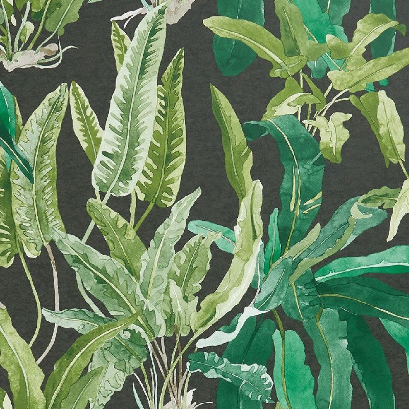 Benmore Ashdown Wallpaper By Nina Campbell