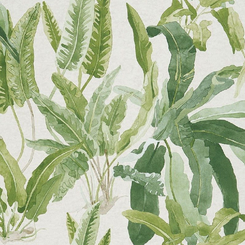 Benmore Ashdown Wallpaper By Nina Campbell