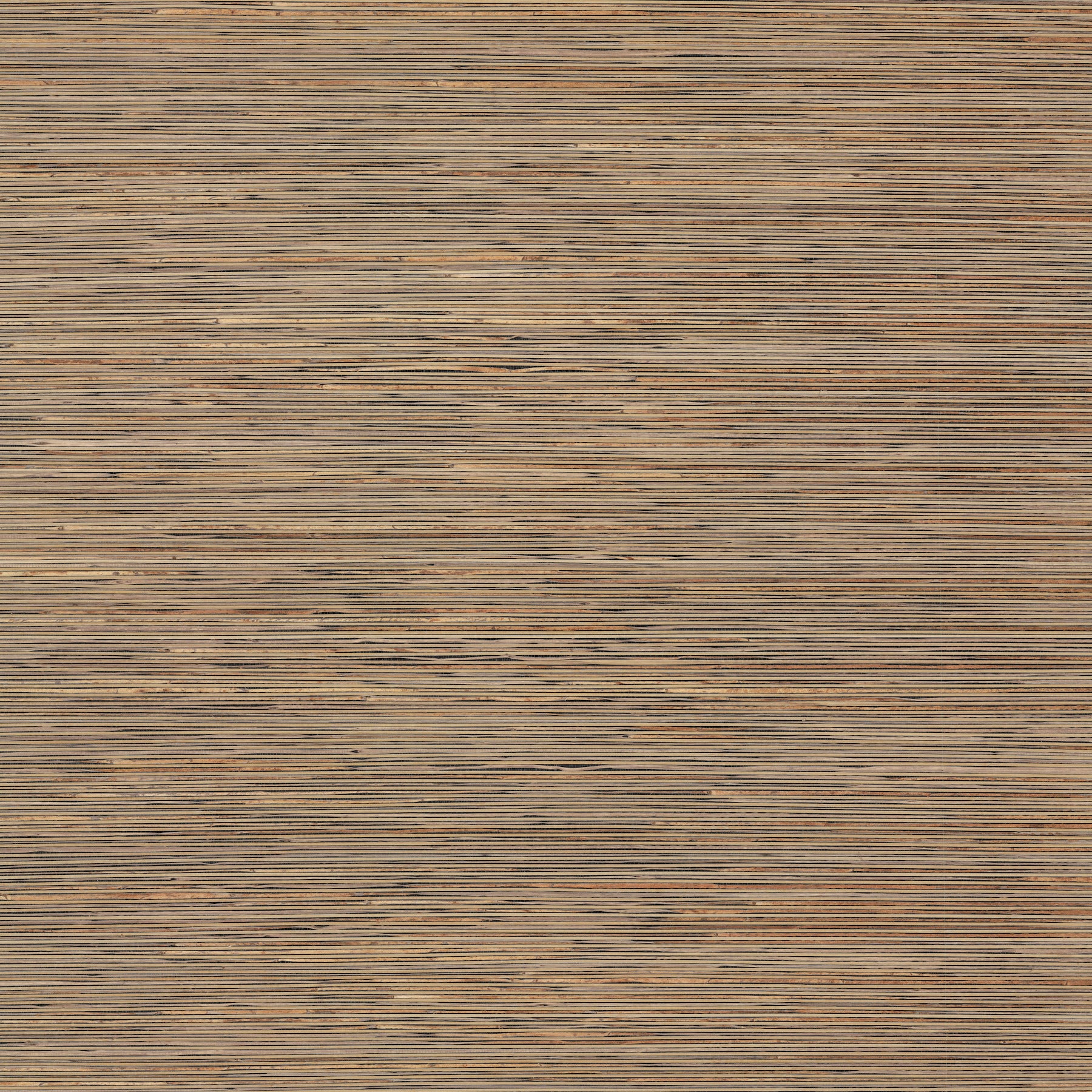 Candice Olson Bamboo Hemp Blend Natural & Black Natural Discovery Wallpaper by York Wallcoverings