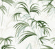 Candice Olson Inky Palms Green Natural Discovery Wallpaper by York Wallcoverings