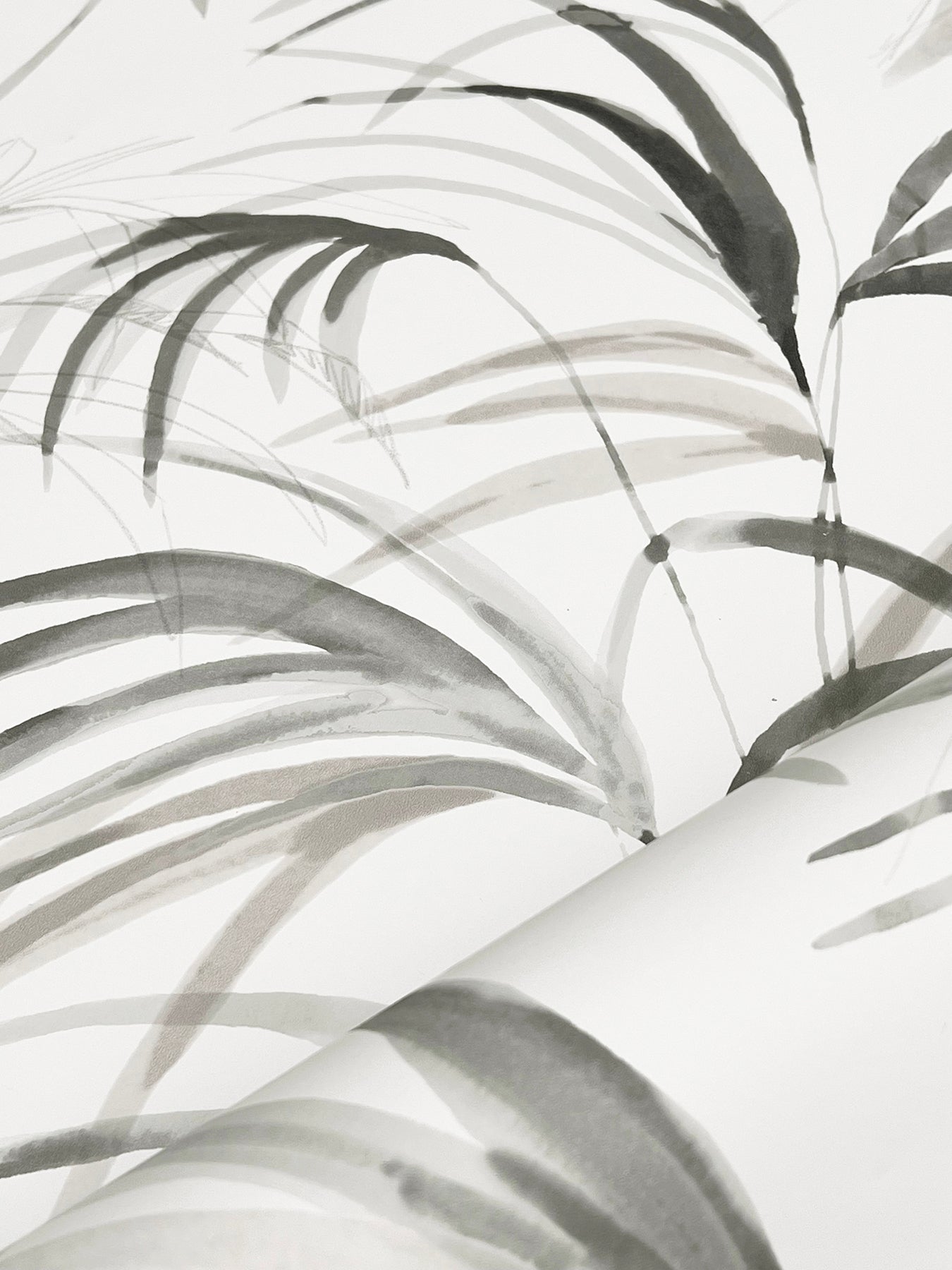 Candice Olson Inky Palms Black Natural Discovery Wallpaper by York Wallcoverings