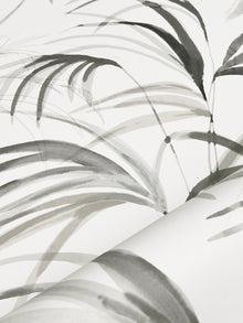 Candice Olson Inky Palms Black Natural Discovery Wallpaper by York Wallcoverings