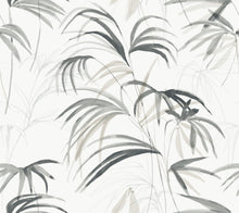 Candice Olson Inky Palms Black Natural Discovery Wallpaper by York Wallcoverings