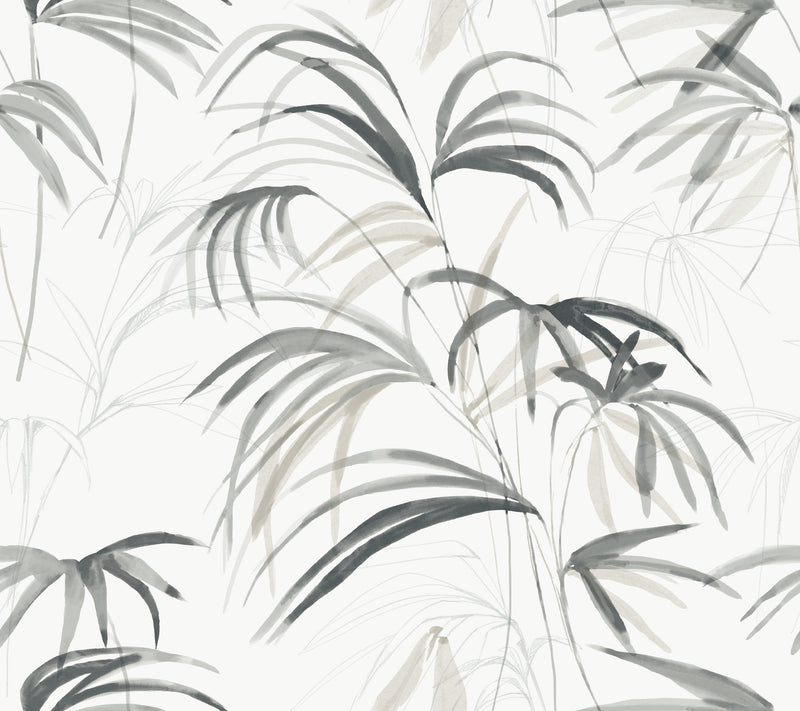 Candice Olson Inky Palms Black Natural Discovery Wallpaper by York Wallcoverings