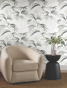 Candice Olson Inky Palms Black Natural Discovery Wallpaper by York Wallcoverings