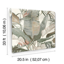 Candice Olson Tropical Cabana White Natural Discovery Wallpaper by York Wallcoverings