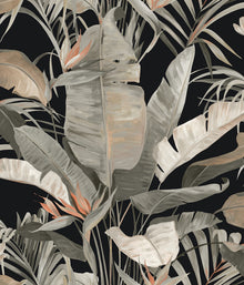 Tropical Cabana Black Natural Discovery Wallpaper by York Wallcoverings
