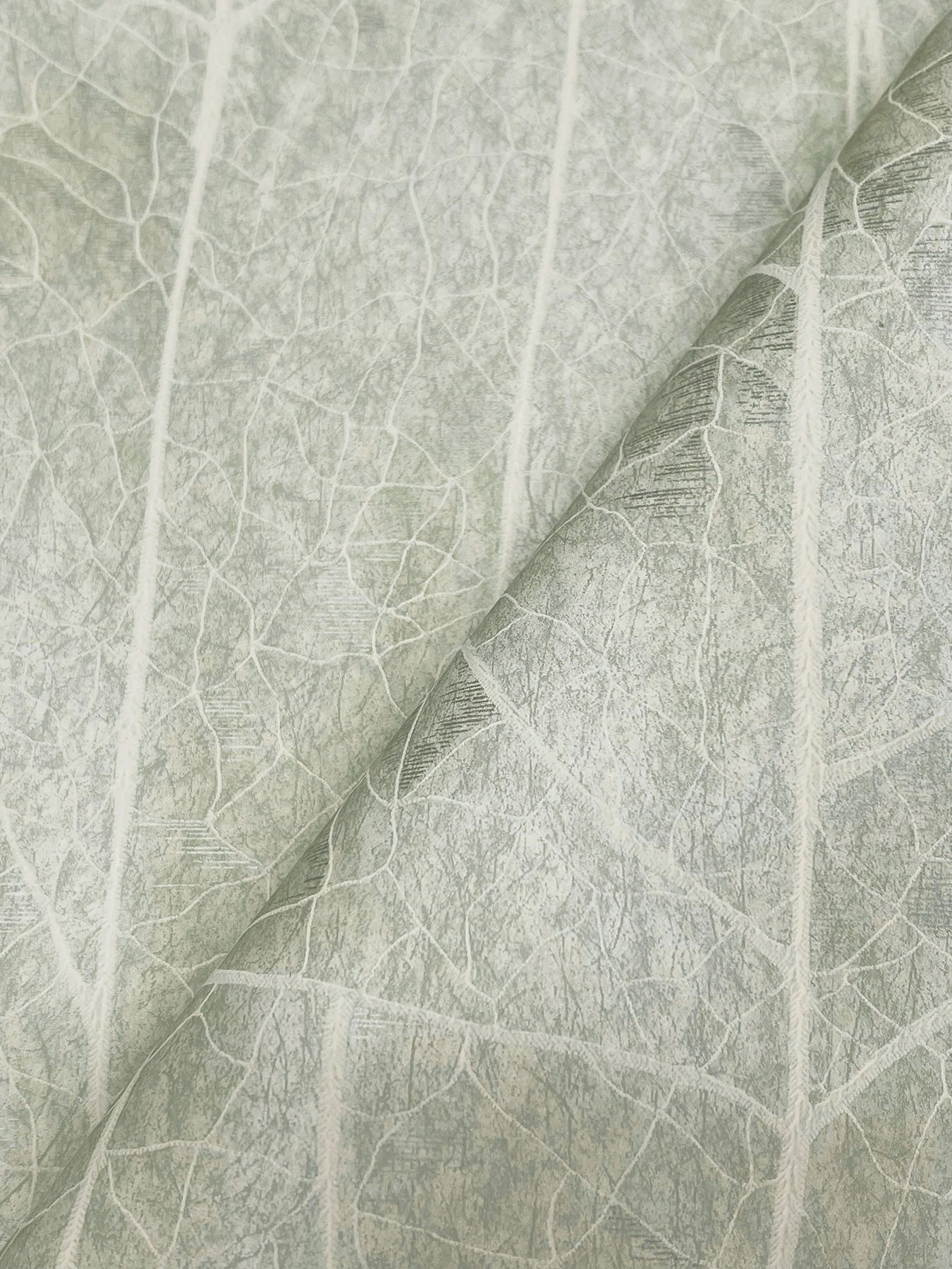 Dicot Leaf Spa Natural Discovery Wallpaper by York Wallcoverings