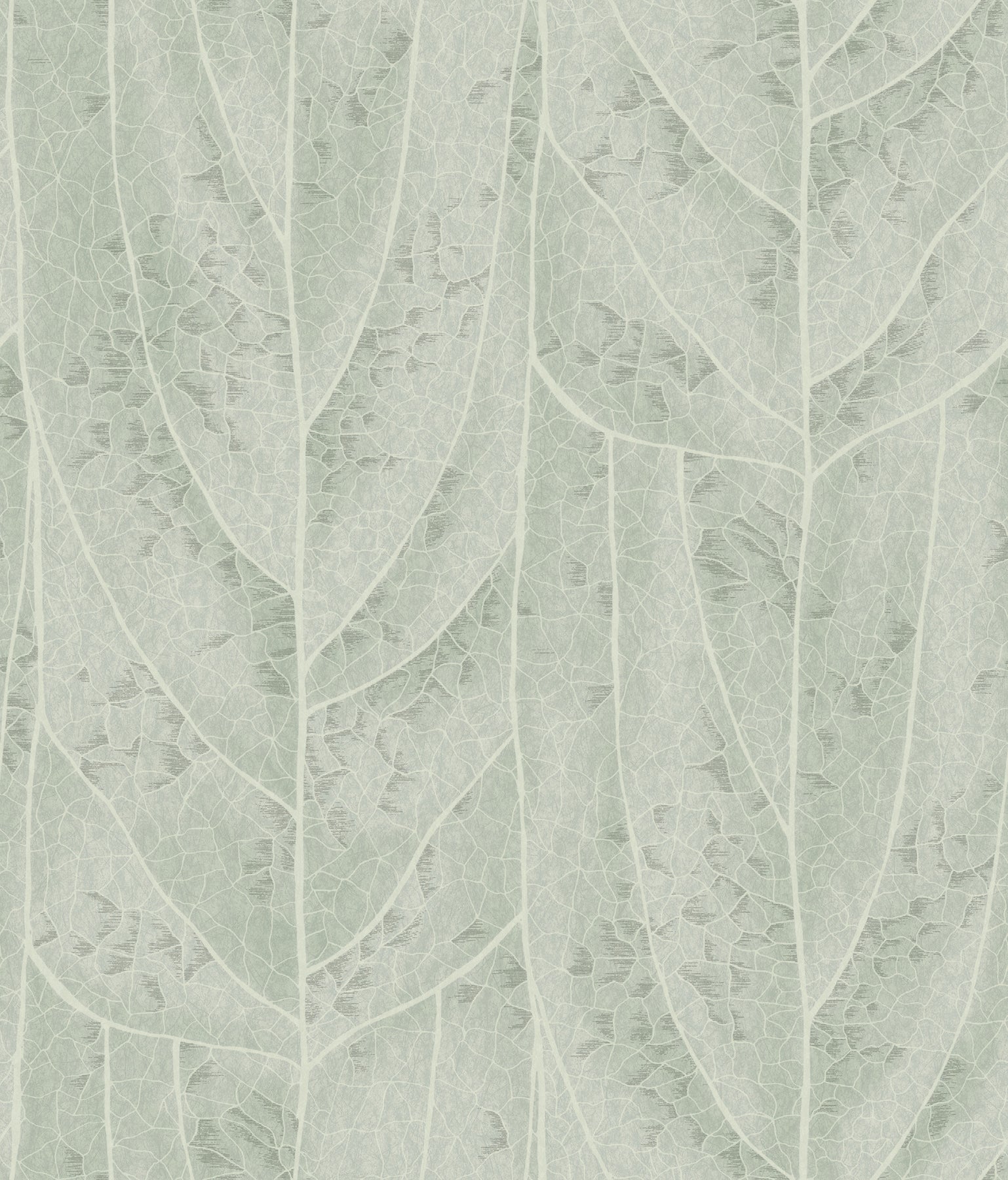 Dicot Leaf Spa Natural Discovery Wallpaper by York Wallcoverings