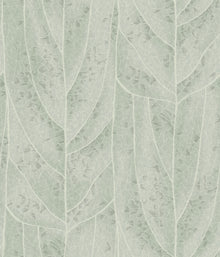 Dicot Leaf Spa Natural Discovery Wallpaper by York Wallcoverings