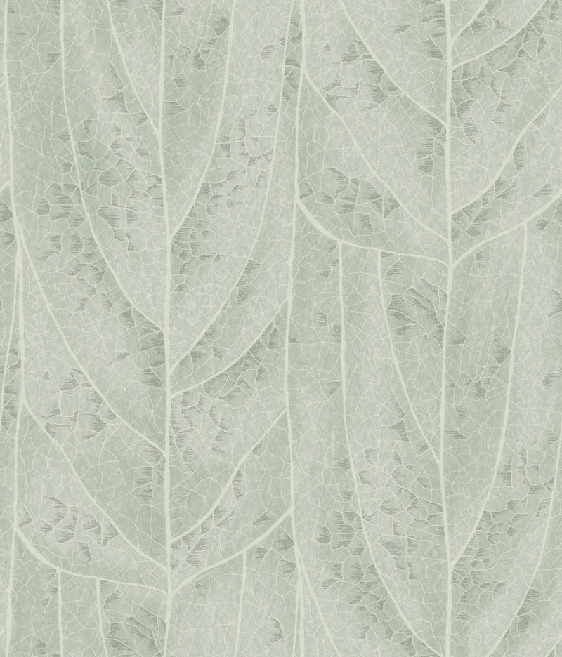 Dicot Leaf Spa Natural Discovery Wallpaper by York Wallcoverings