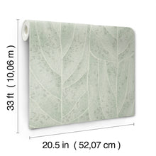 Dicot Leaf Spa Natural Discovery Wallpaper by York Wallcoverings