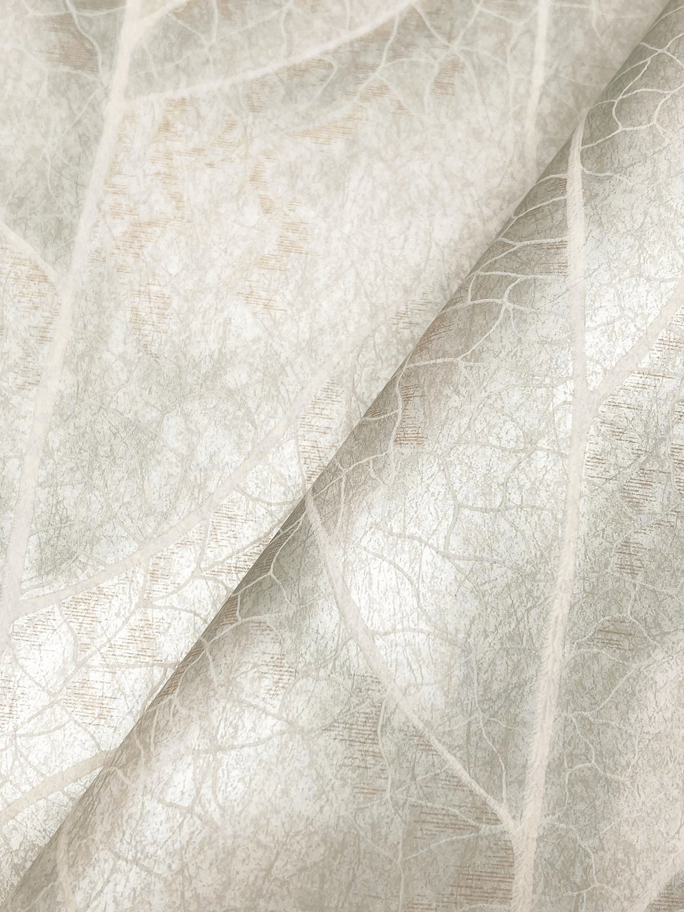 Dicot Leaf Light Green Natural Discovery Wallpaper by York Wallcoverings