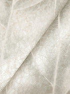 Dicot Leaf Light Green Natural Discovery Wallpaper by York Wallcoverings