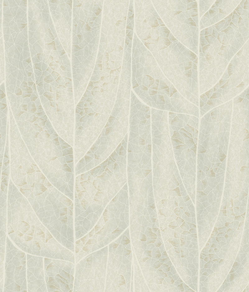 Dicot Leaf Light Green Natural Discovery Wallpaper by York Wallcoverings
