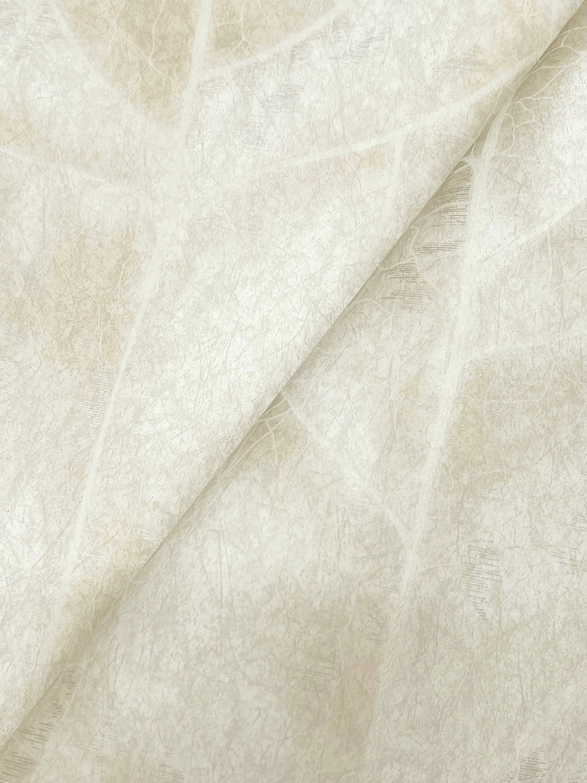 Dicot Leaf Neutral Natural Discovery Wallpaper by York Wallcoverings