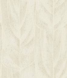 Dicot Leaf Neutral Natural Discovery Wallpaper by York Wallcoverings