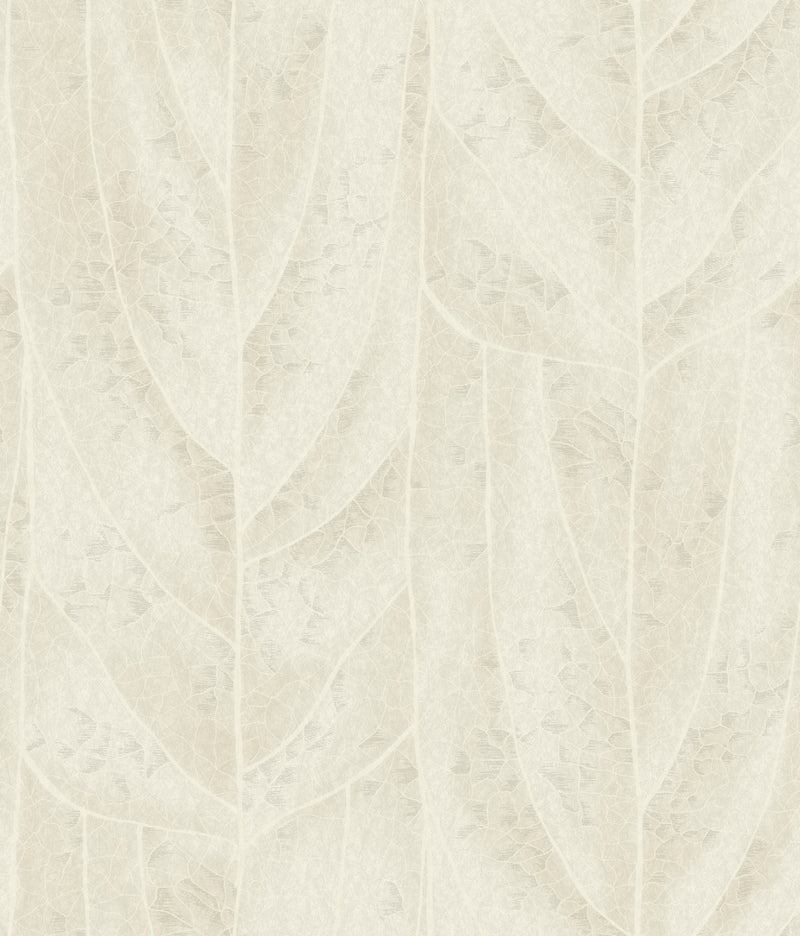 Dicot Leaf Neutral Natural Discovery Wallpaper by York Wallcoverings
