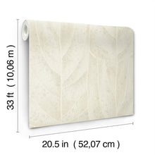 Dicot Leaf Neutral Natural Discovery Wallpaper by York Wallcoverings