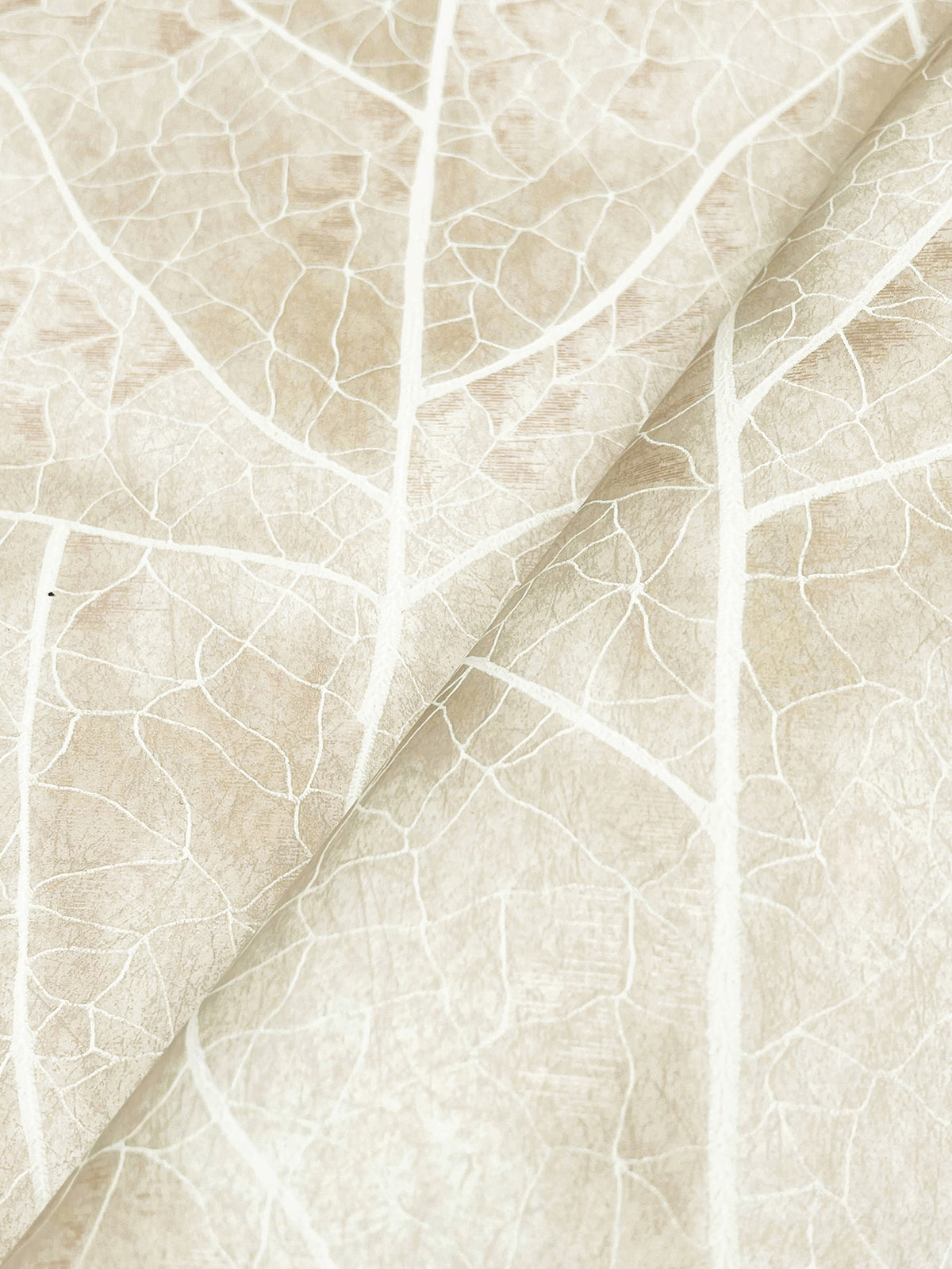 Dicot Leaf Beige Natural Discovery Wallpaper by York Wallcoverings
