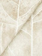 Dicot Leaf Beige Natural Discovery Wallpaper by York Wallcoverings
