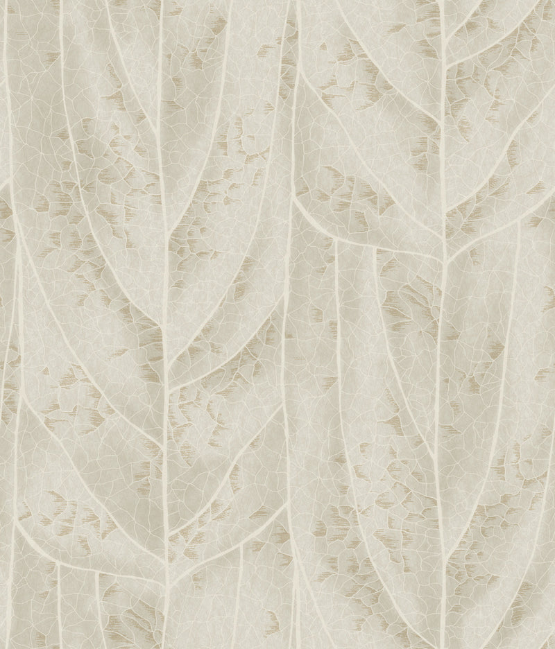 Dicot Leaf Beige Natural Discovery Wallpaper by York Wallcoverings