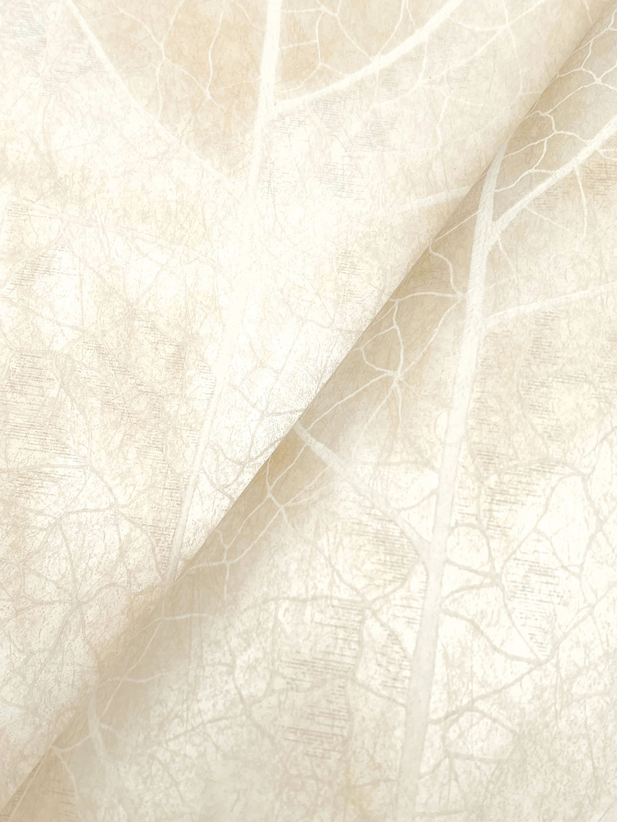 Dicot Leaf Pearl Natural Discovery Wallpaper by York Wallcoverings
