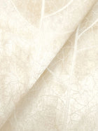 Dicot Leaf Pearl Natural Discovery Wallpaper by York Wallcoverings