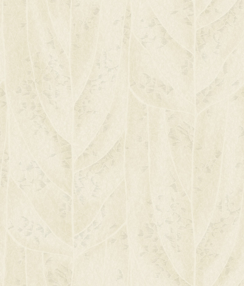Dicot Leaf Pearl Natural Discovery Wallpaper by York Wallcoverings