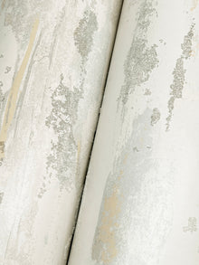 Artistic Tides Desert Natural Discovery Wallpaper by York Wallcoverings
