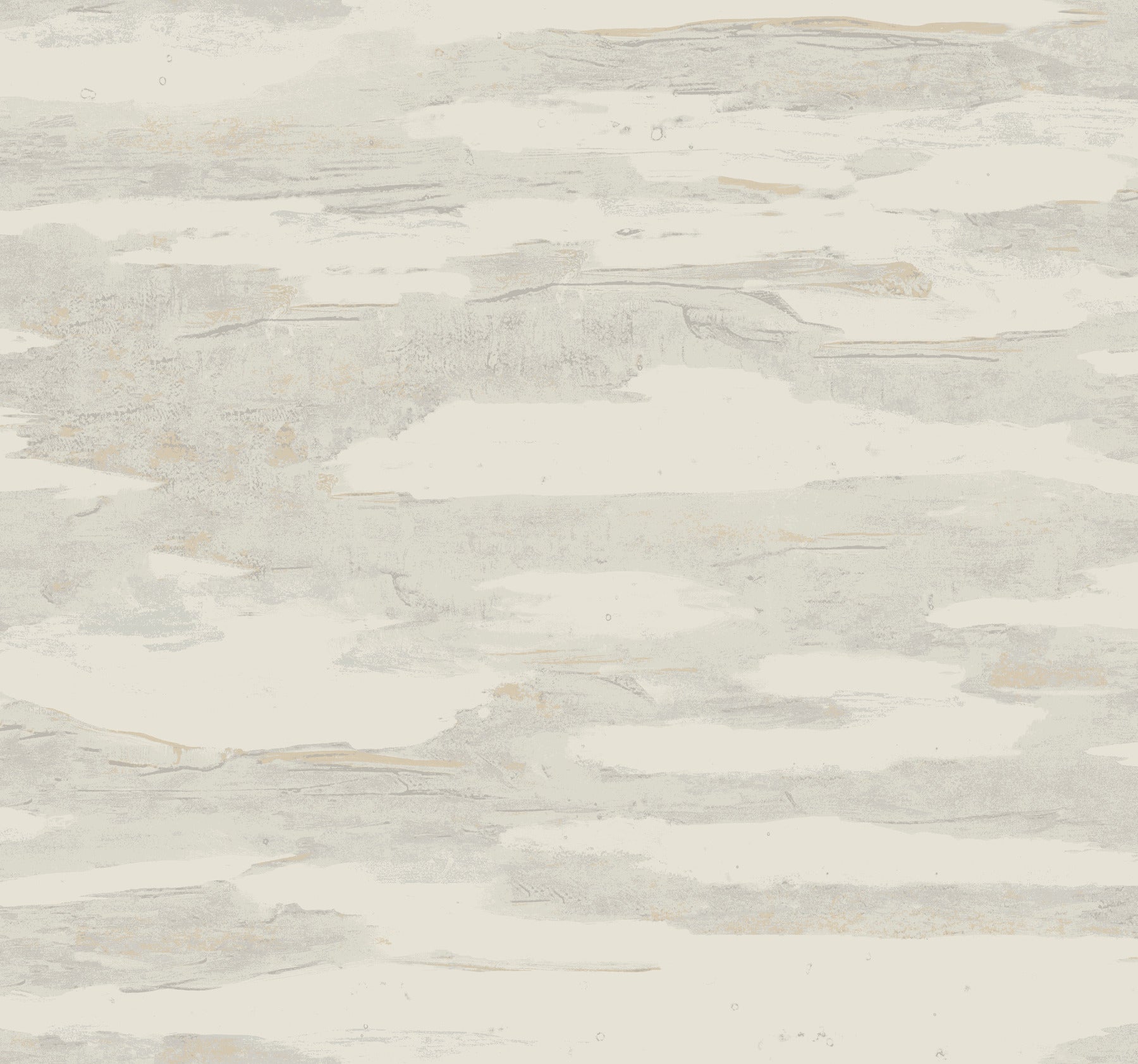 Artistic Tides Desert Natural Discovery Wallpaper by York Wallcoverings