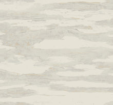 Artistic Tides Desert Natural Discovery Wallpaper by York Wallcoverings