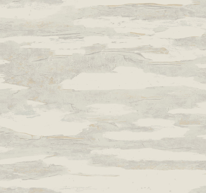 Artistic Tides Desert Natural Discovery Wallpaper by York Wallcoverings